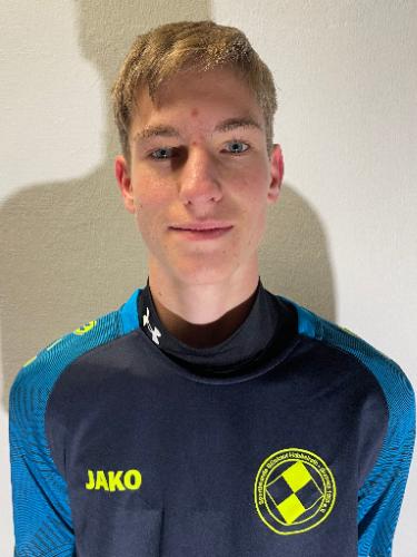 Niklas Wingen
