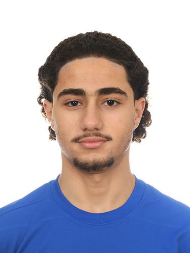 Mohammad Hazem Shalab Ulsham