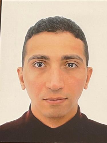 Mehdi Dridi