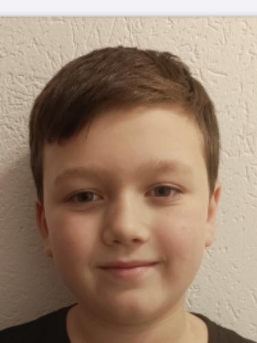 Andreas-Nicolae Negulici