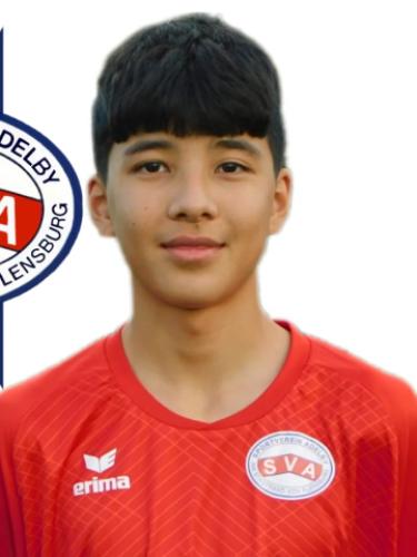 Mohammad Hadi Mohommadi