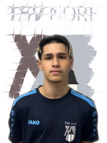 Andjelo Momcilo Kostic