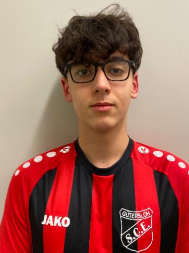 Senedin Alikadic