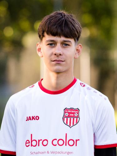 Stefan-Adrian Ludiscovici