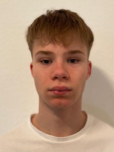 Aaren Egino Emanuelsson