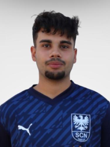 Hilmi Sahin