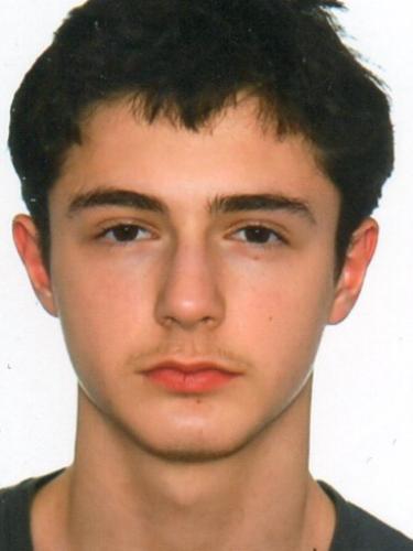 Amir Sejfulai