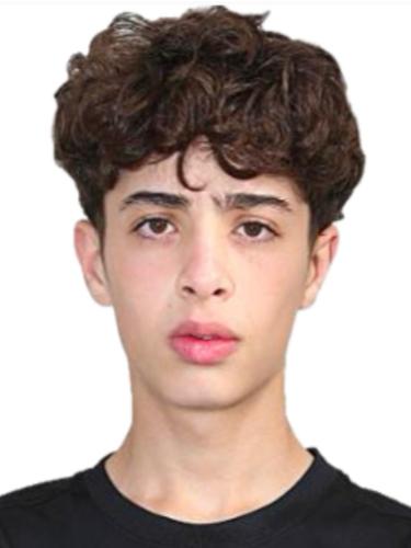 Ahmad AL Ahmad Alnabulsi