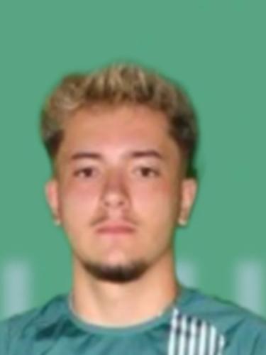 Hannes Hodzic