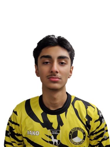 Adil Hameed Syed
