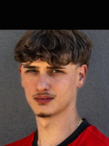 Lupo Giulio