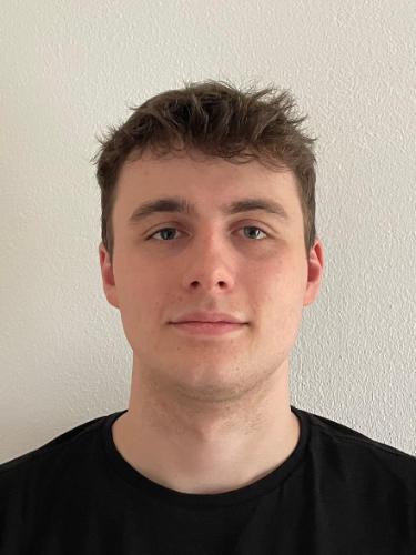 Hannes Kokerment