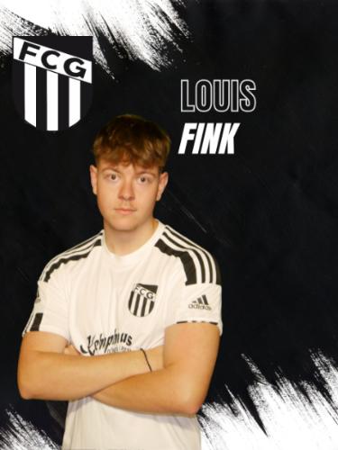 Louis Fink