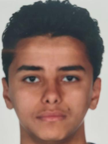 Ahmed Abdelkader Abdelmanem