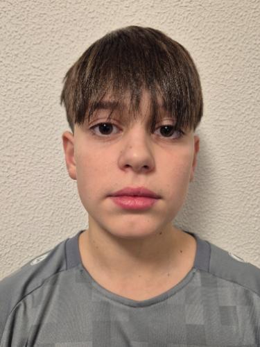 Mika Levi Gerstlauer