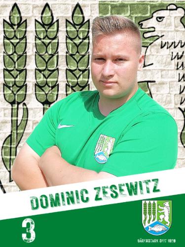 Dominic Zesewitz