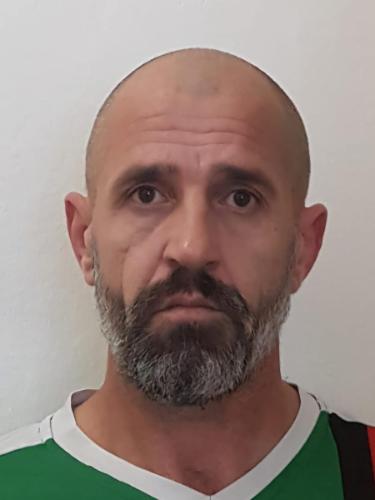 Viorel-Sorin Martici