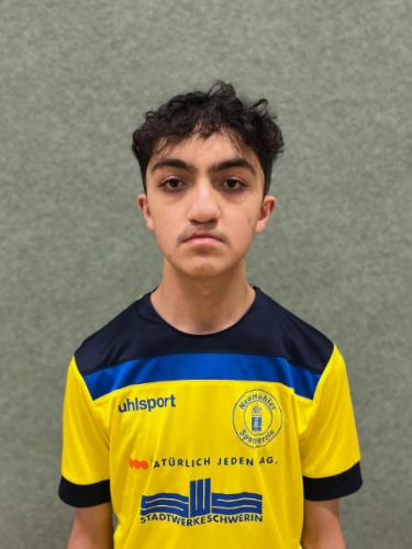 Ahmad Alnashef