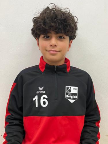 Amir Mohamed Golami