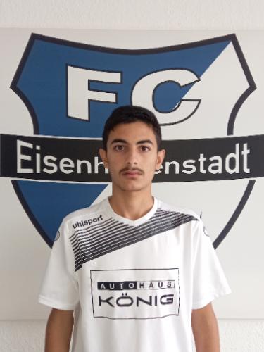 Mohammad Hamadi Al Dali