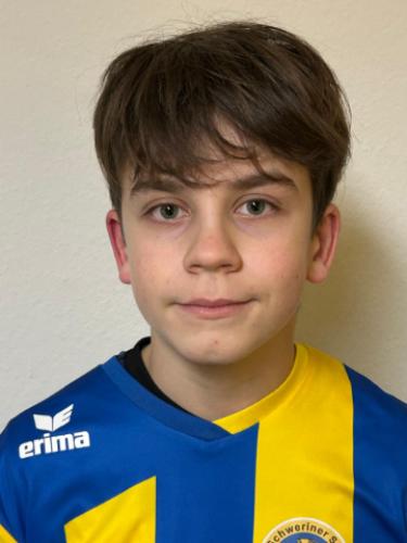 Arik Domik