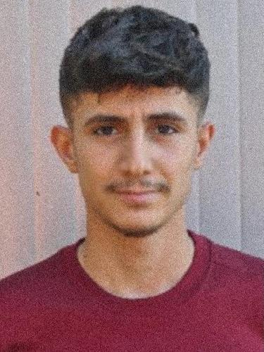 Ali Aldibo