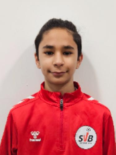 Mohammad Sarwary