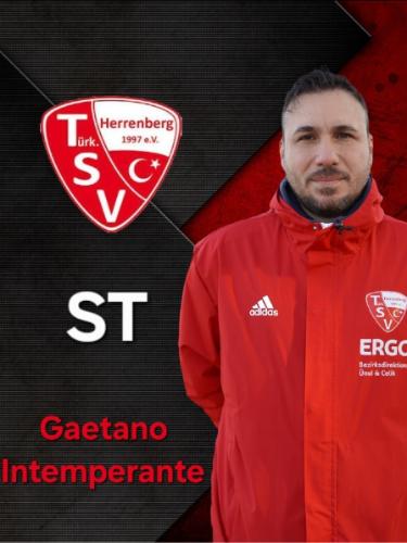 Gaetano Intemperante