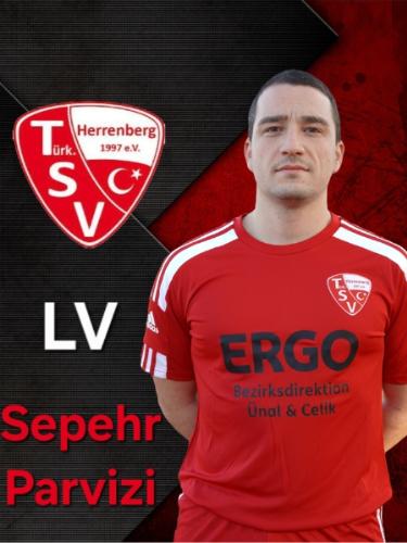 Sepehr Parvizi