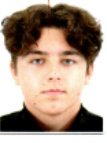 Laris Colakovic