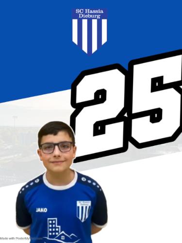 Luis Juan Fenoy Y Martinez