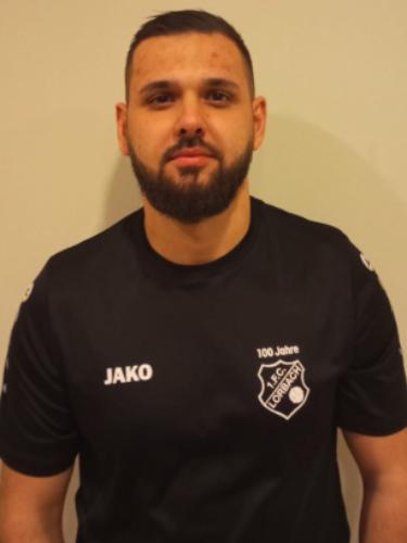 Almin Karalic