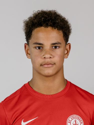 Rodney Acholonu