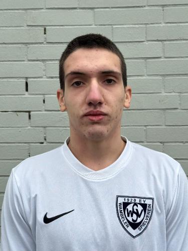 Gabriel Sebastian Cutesi