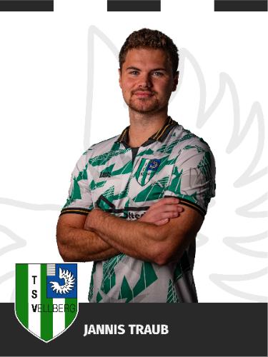 Jannis Traub