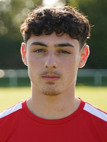 Faris Hamidovic