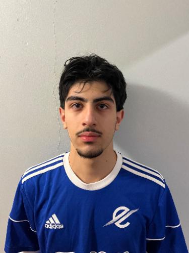 Shayan Soleimani Hafshejani