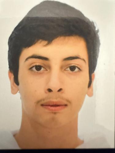 Ashkan Rahmani