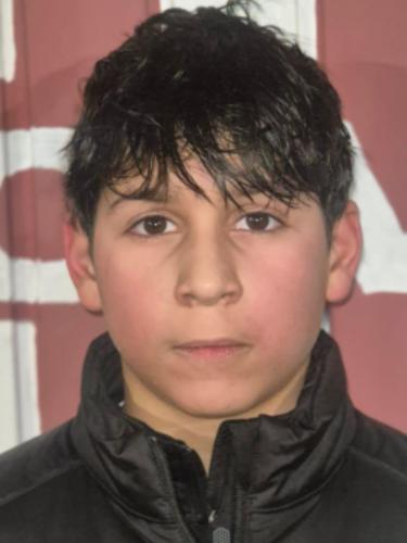 Mahir Malik Bulut