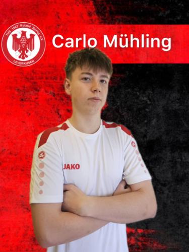 Carlo Tobias Mühling