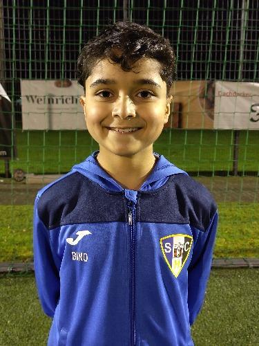 Binar Karwan Nawroz Alali