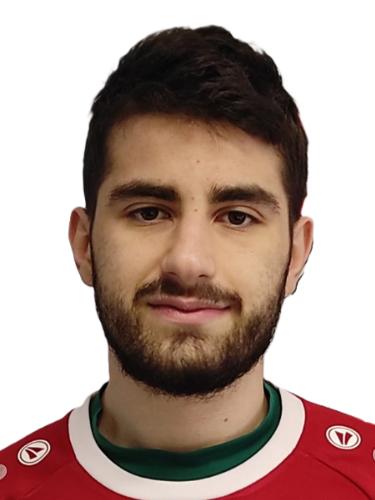 Damir Zuvela