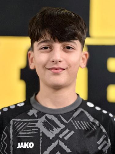 Ali Aljazayrli