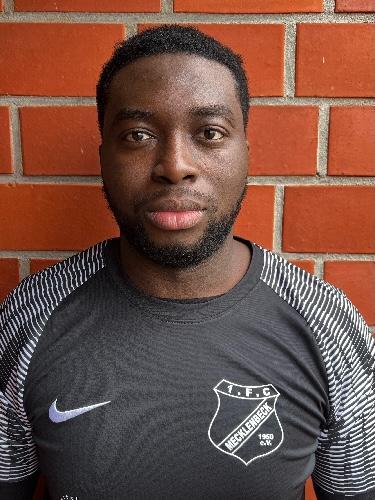 Abdul Taoyib Ade-Sina Olawoye Amusa