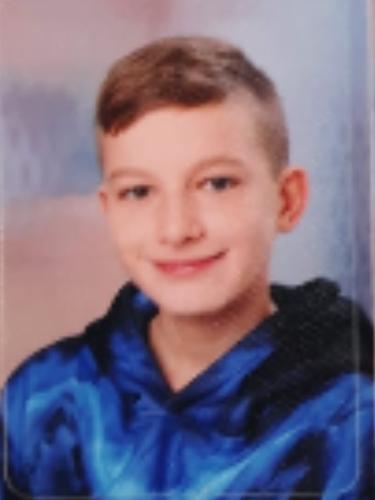 Vincent Elias Maximus Wendt