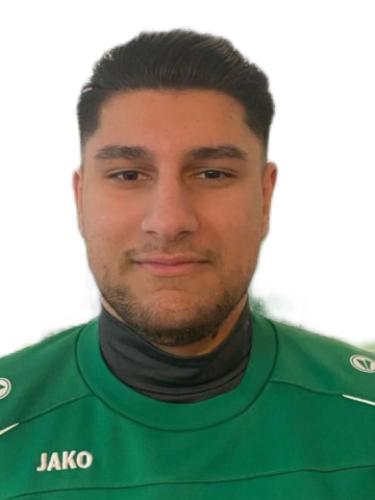 Nikola Vlada Vasilikovic