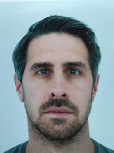 Dominik Pallazzoni