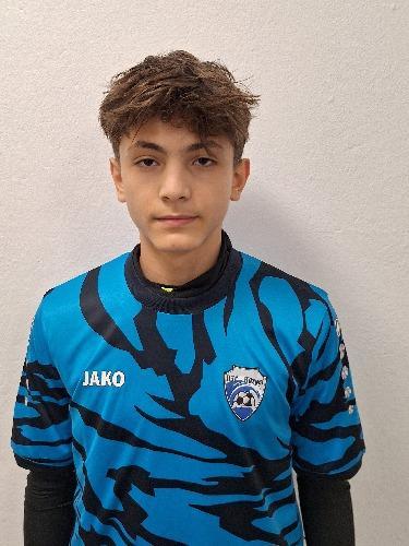 Tarik Ahmetovic