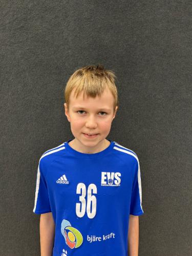 Eduards Tomass Legis