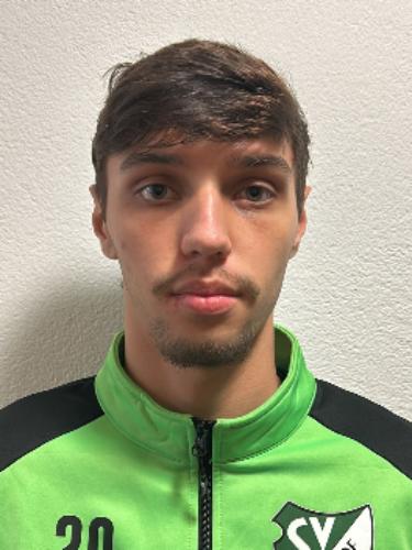 Henrique Calabrez Dutra